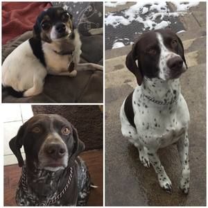 Meet your Posher, Jane